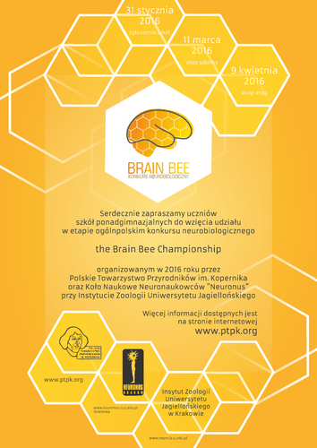 Brain Bee - plakat