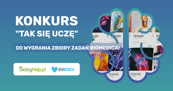 konkurs tak się uczę grafika