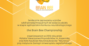 Brain Bee - plakat