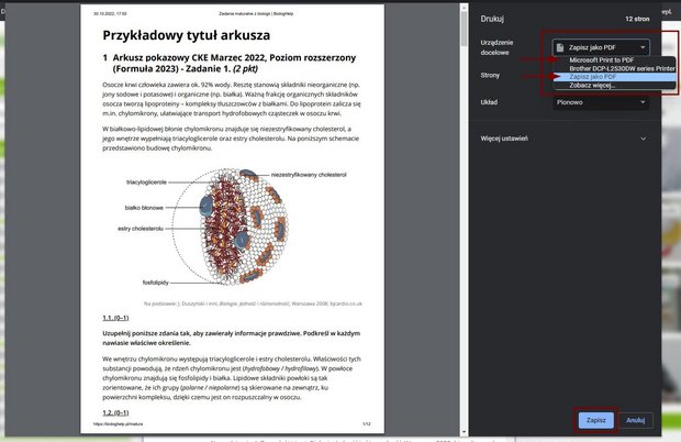 Panel wydruku przeglądarki internetowej z możliwością zapisania dokumentu do PDF.