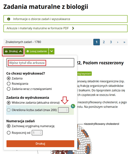 Panel opcji przed wydrukiem