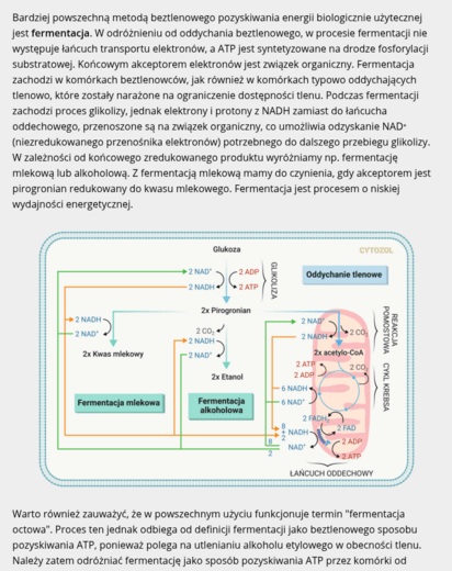 BiologHelp komentarz autorski 2