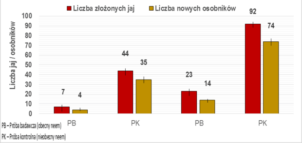 Ryc. 2 Wpływ neem na liczbę złożonych jaj oraz liczbę nowych osobników mszycy ogrodowej i wywilżny karłowatej w słoiku po zakończeniu doświadczenia (po 15 dniach)