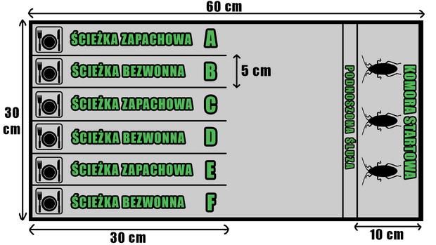 Ryc. 2. Schemat akwarium doświadczalnego