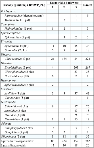 Tab. 2.  Liczebność zgrupowań organizmów bentosowych na poszczególnych stanowiskach z przypisaną im oceną punktową według metody BMWP-PL.  