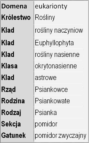 Tab. 1. Systematyka użytego gatunku.