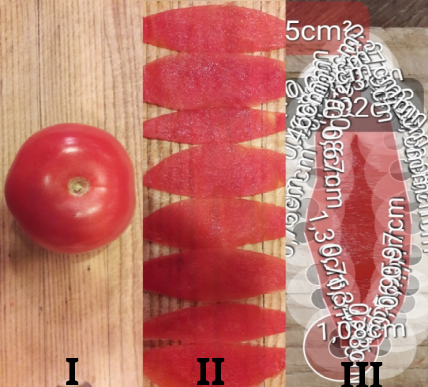 Zdj. 1. Sposób preparacji skórki owocu i liczenia jej pola powierzchni przez program.