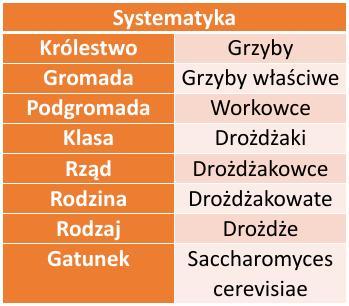 Tab.1. Systematyka (Szweykowska A.)