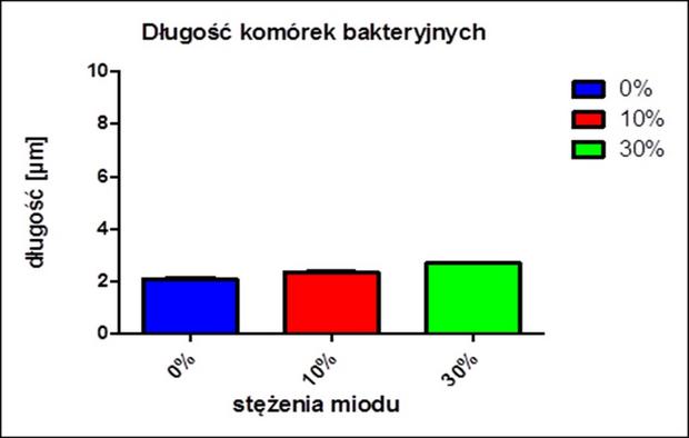 Ryc. 3. Wpływ stężenia miodu w pożywce na długość komórek bakteryjnych.