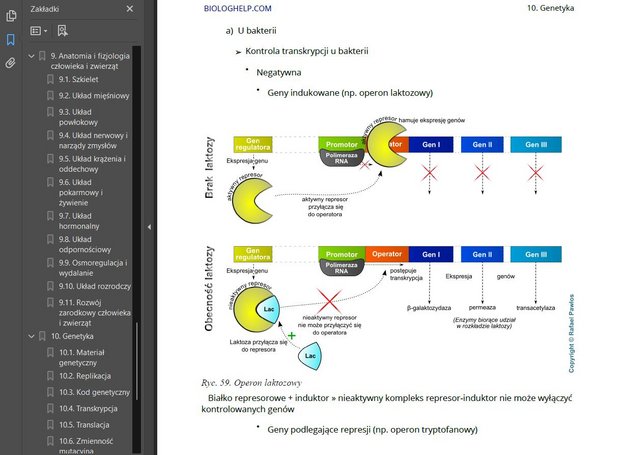 BiologHelp+ | BiologHelp