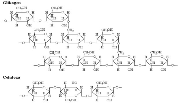 Glikogen i celuloza - wzory