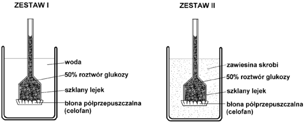 Schemat doświadczenia