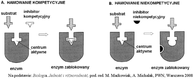 Inhibicja enzymów