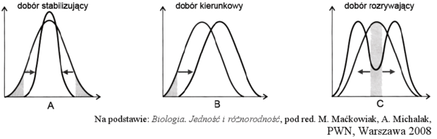 Rodzaje doboru naturalnego