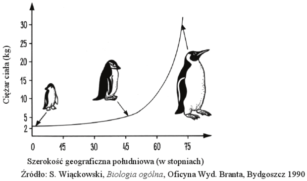 Ciężar ciała pingwinów - wykres