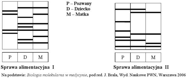 Ustalanie ojcowstwa