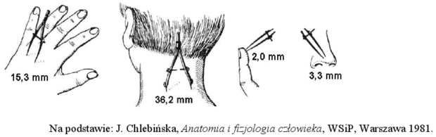 Schemat doświadczenia