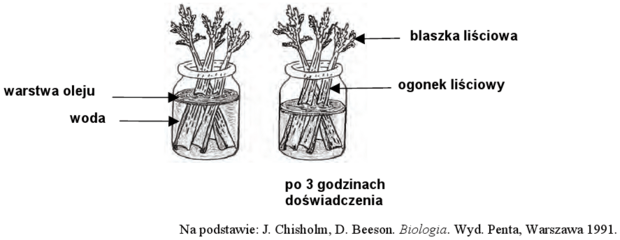 Schemat doświadczenia