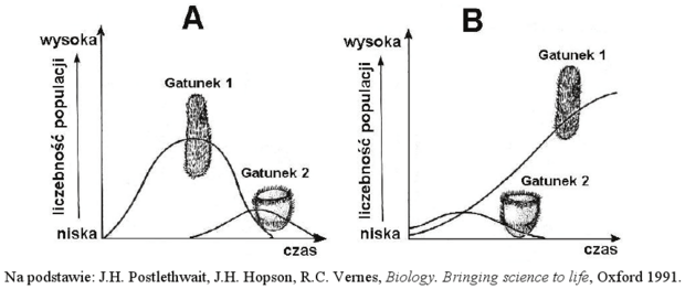 Populacje orzęsków wykresy