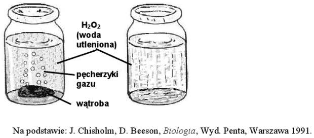 Schemat doświadczenia