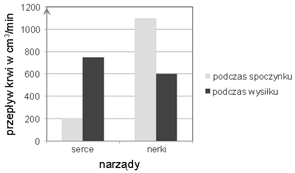 Przykładowy wykres