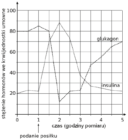 Wykres stężenia insuliny i glukagonu