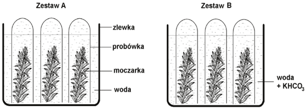 Doświadczenie - schemat