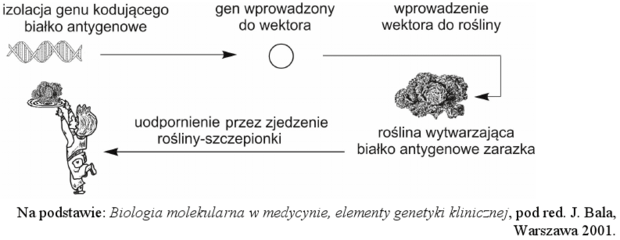 Wytwarzanie szczepionki przez rośliny