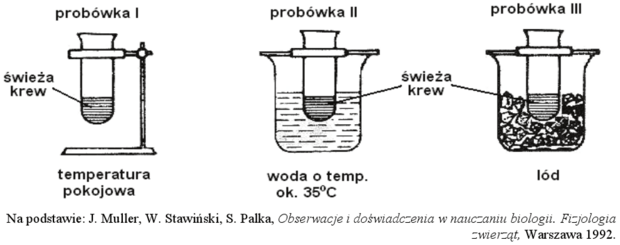 Schemat doświadczenia