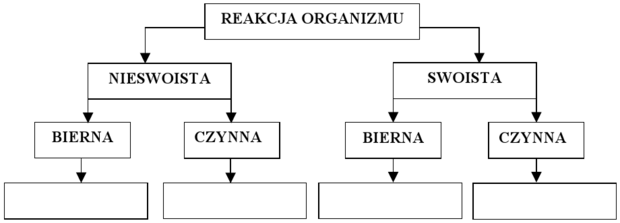 Odporność - schemat