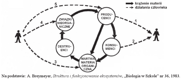 Krążenie materii w ekosystemie