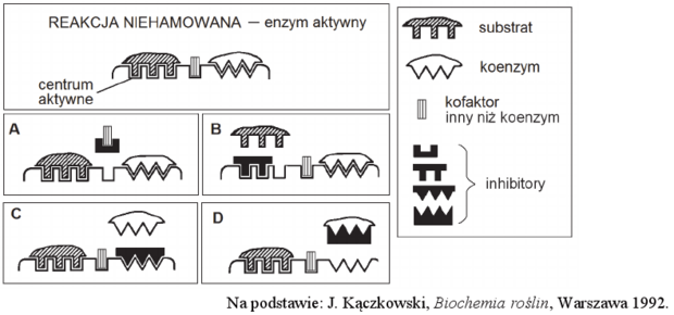 Inhibicja enzymów