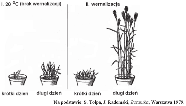 Wyniki doświadczenia