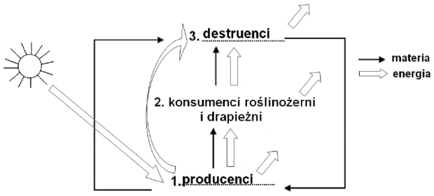 Ekosystem schemat - klucz