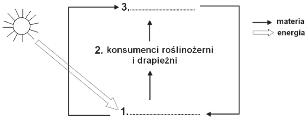 Ekosystem schemat