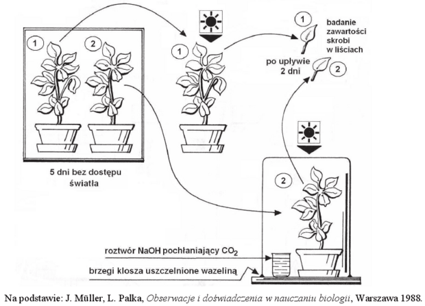 Schemat doświadczenia