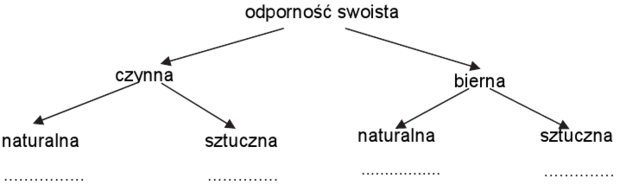 Podział odporności