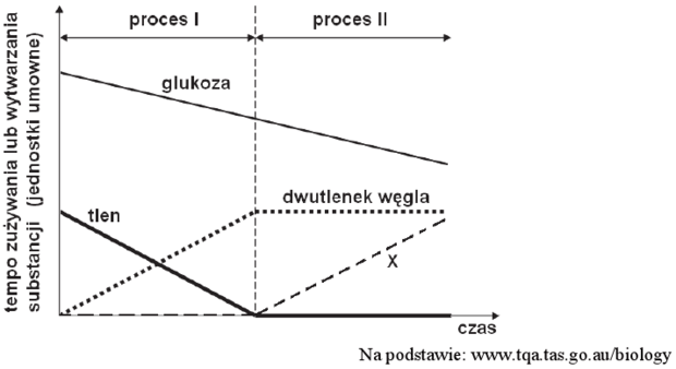 Oddychanie komórkowe wykres