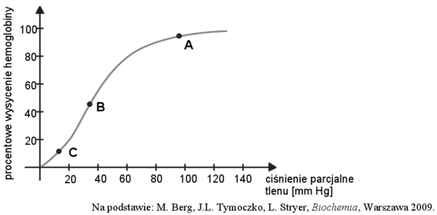 Wysycenie hemoglobiny tlenem - wykres