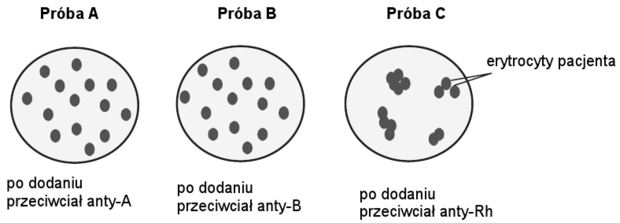 Oznaczanie grupy krwi