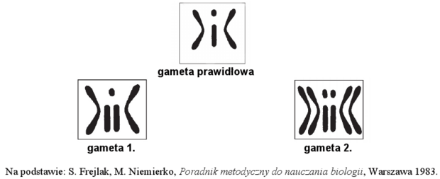 Mutacja