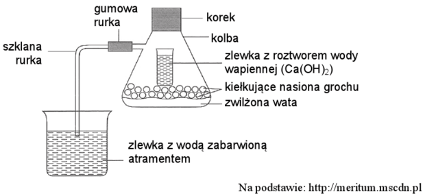 Schemat doświadczenia