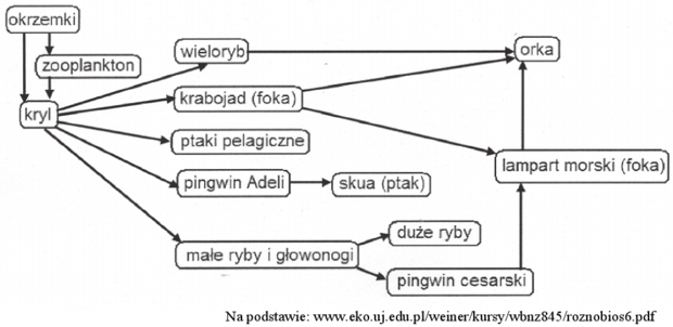 Biologia - Matura Maj 2016, Poziom Rozszerzony (Formuła 2007) - Zadanie 33. | BiologHelp