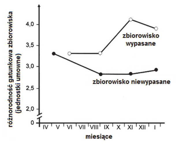 Biologia - Matura Maj 2019, Poziom Rozszerzony (Formuła 2015) | BiologHelp