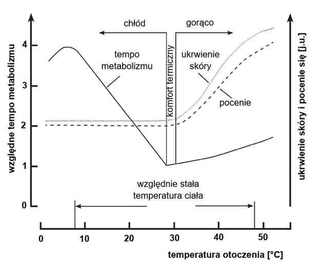 współdziałanie głównych reakcji termoregulacyjnych u człowieka w przedziale temperatury otoczenia 0°C–55°C