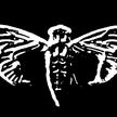 Obrazek użytkownika cicada3301